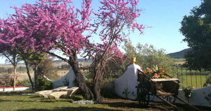 Hacienda El Santiscal | Jardín