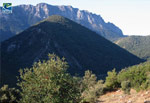 Parque natural Sierrra de Grazalema